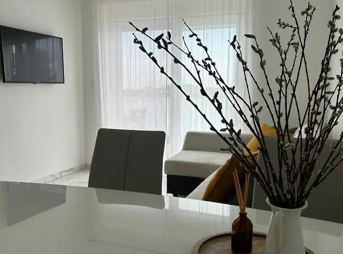 Juric * ברודאריצה